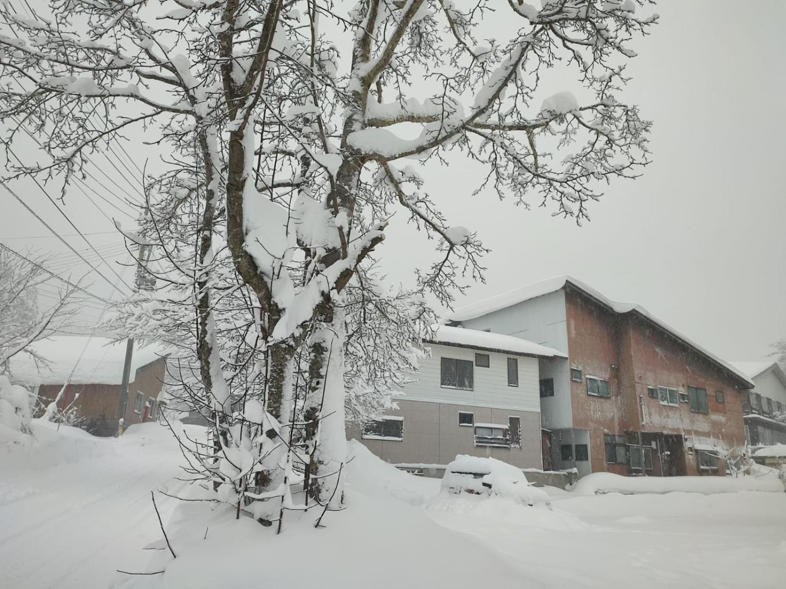 Peuf Lodge Otari Bagian luar foto